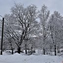  Nikolai, , 79  -  5  2022    