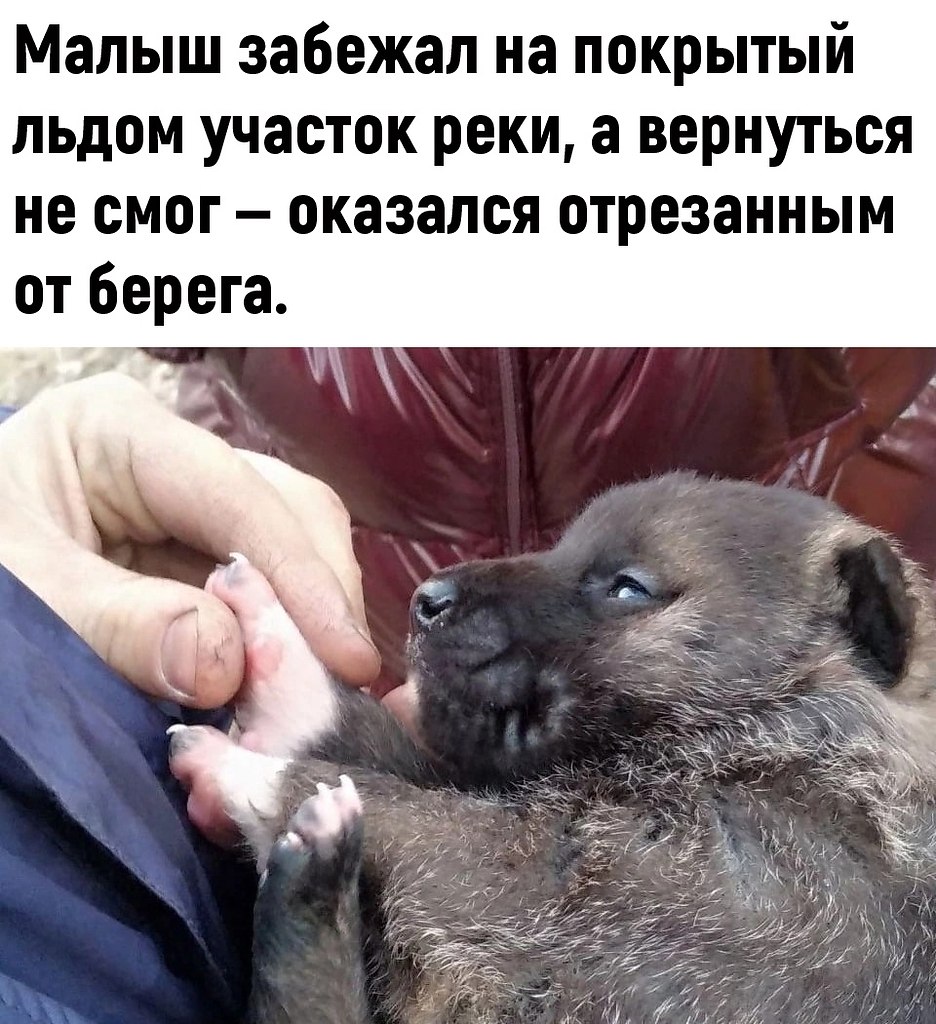   , ,     ! - 2