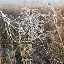 ���� ������, �����������, 52 ���� - ��������� 20 �������� 2022 � ������ ���� ����������