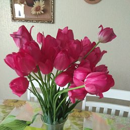 ���� ����, �����������, 47 ��� - ��������� 20 ������ 2023