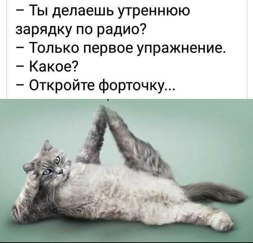 �������� - 13 ������� 2022 � 09:41