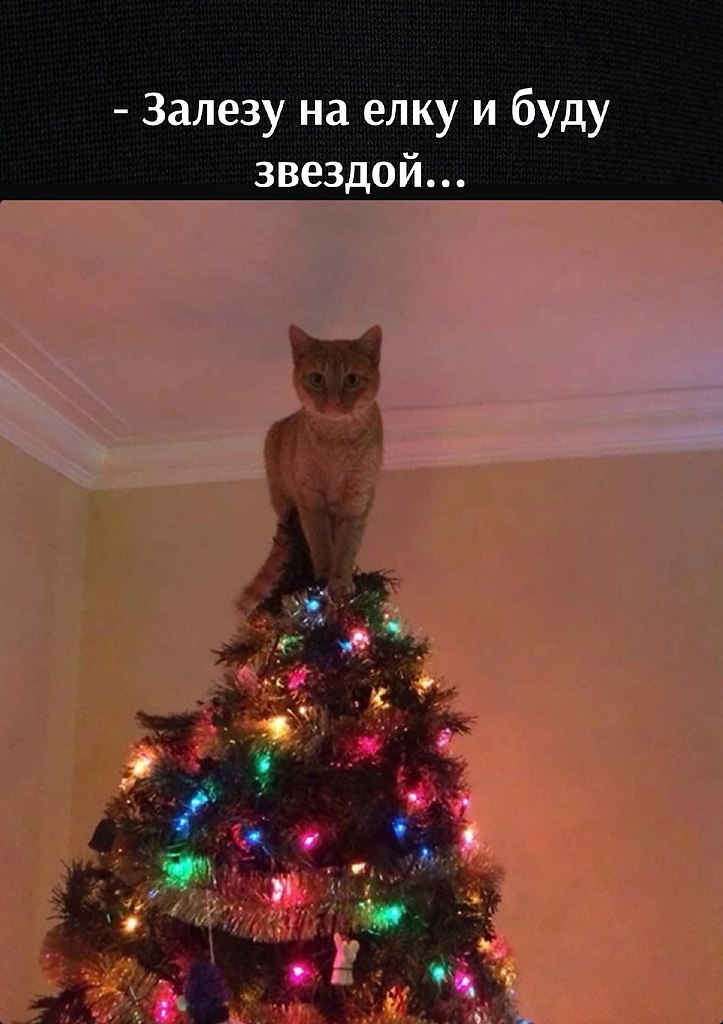       - 24  2022  11:09 - 2