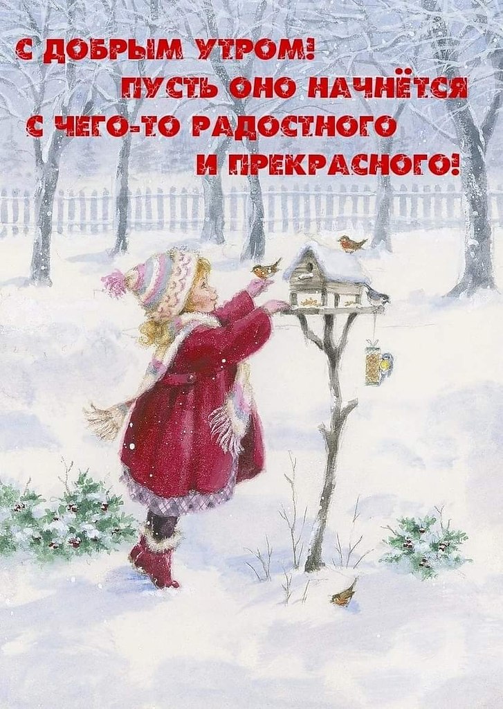   ,    . - 10  2022  00:43