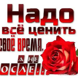 ������, ������, 44 ����