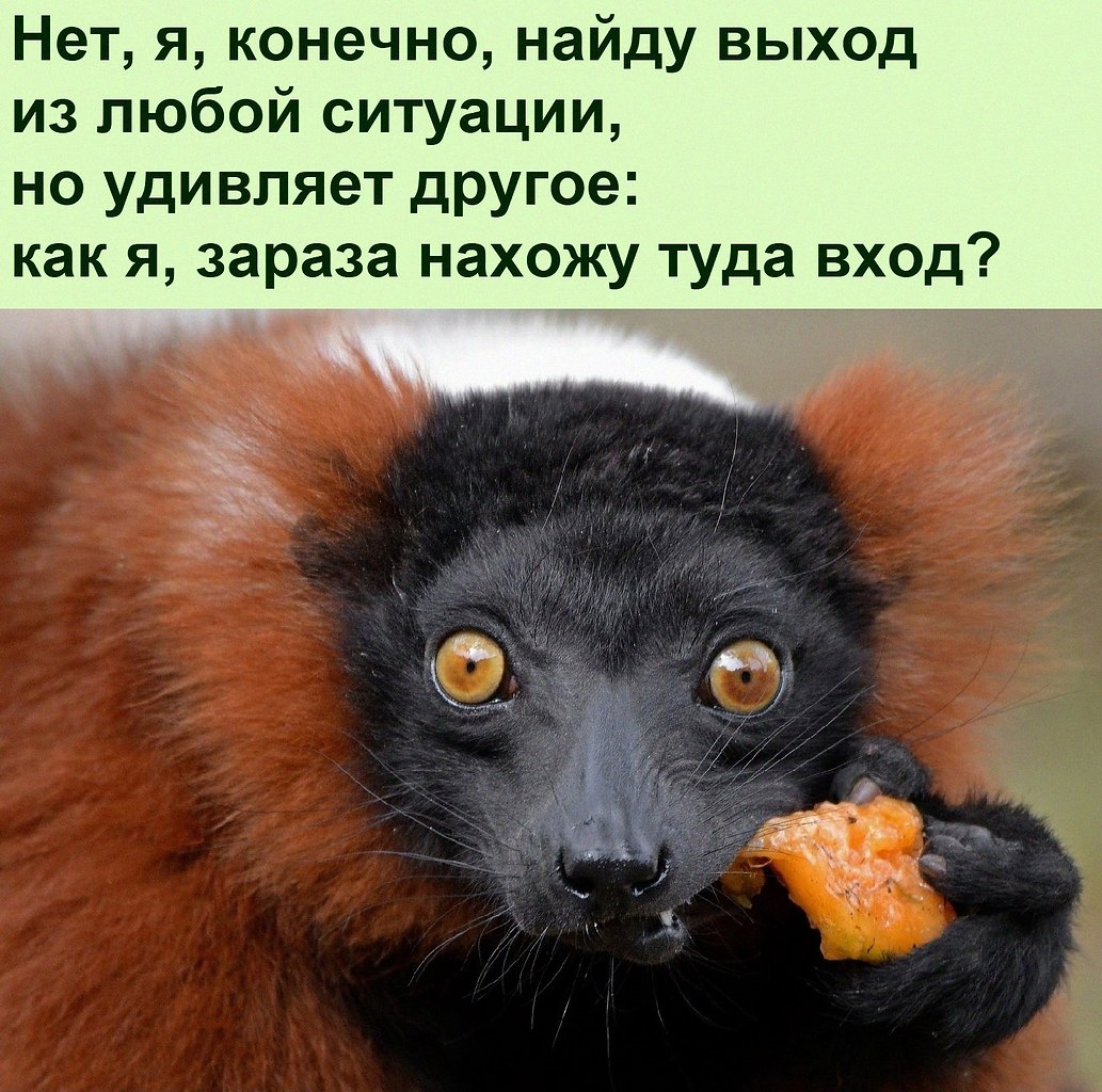  :D - 8  2022  08:43