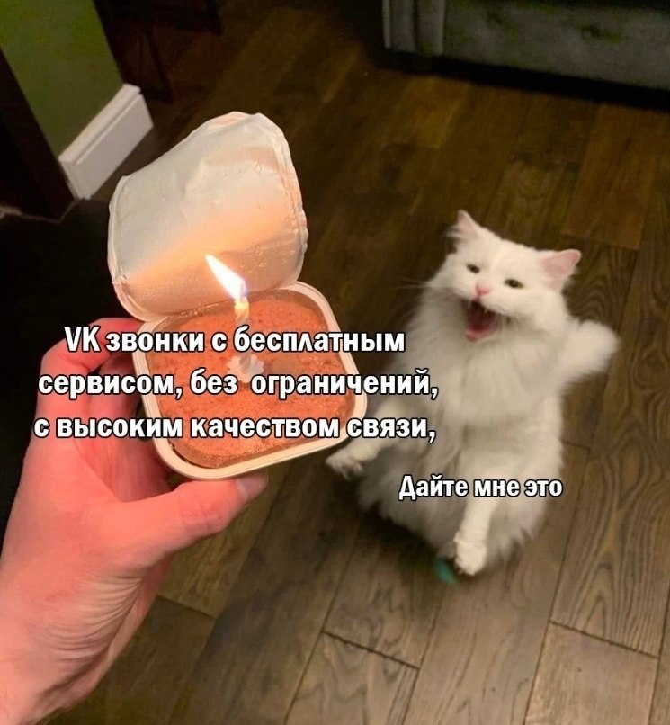   . . . - 21  2022  20:24