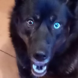 ����, ������ ��������, 57 ���