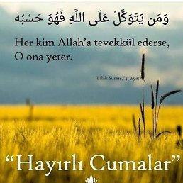 Mustafakadr, , 37 