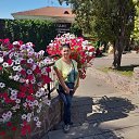 ���� 2022 �� ������� ����� 2022�