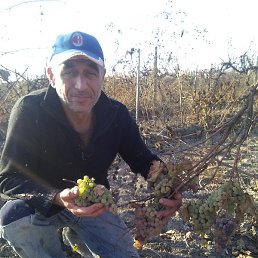 �����, �������, 50 ���