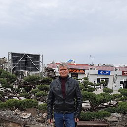 ���� �������, ���������, 72 ���� - ��������� 3 ���� 2022