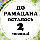 ���� ��������, �������, 73 ���� - ��������� 24 ������ 2023 � ������ ������ ��������