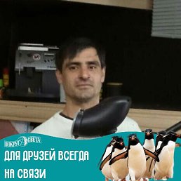  Djin, , 42  -  16  2022