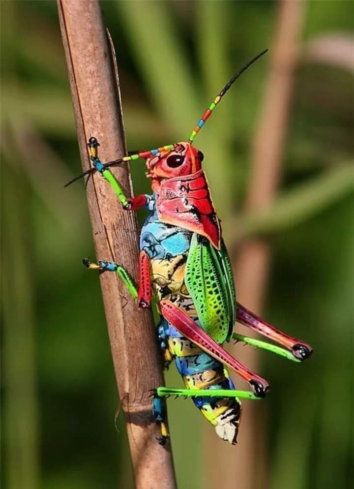 :)