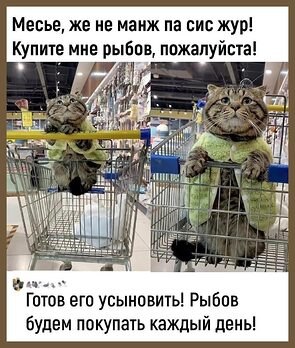   - 10  2023  10:23
