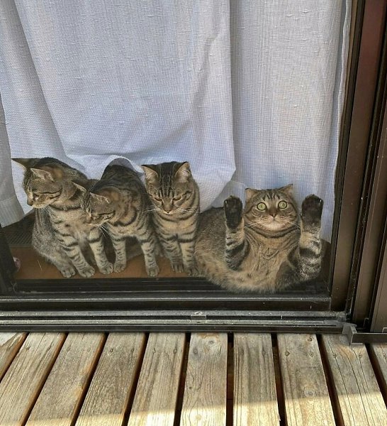 Тот самый друг, который всегда добавляет изюминку в ваши фотографии.