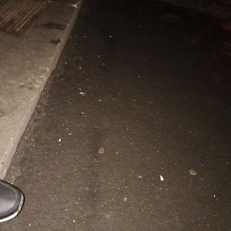 ����, ������, 28 ���