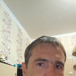 ���� ���������, �����, 40 ��� - ��������� 7 �������� 2023