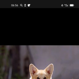 ���� �����, ������, 53 ���� - ��������� 12 ���� 2023