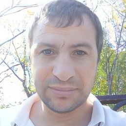 Zorro, , 43 