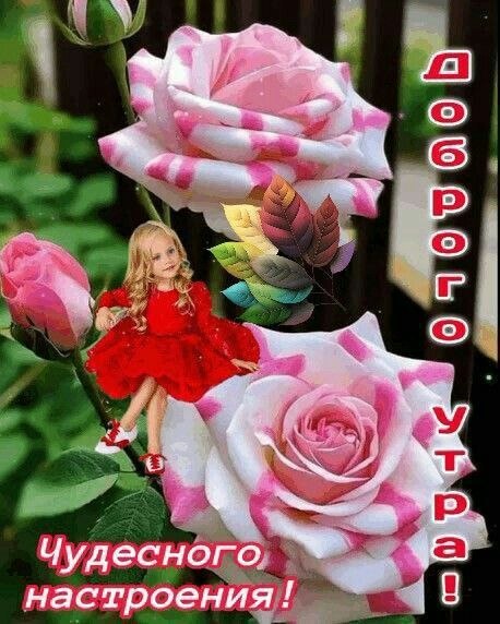 ₪╬═►  ||  ||  ◄═╬₪ - 26  2023  05:39
