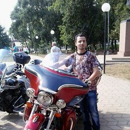 , 33, 