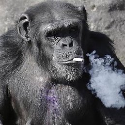 �������� ������� �����������, ������, 30 ���