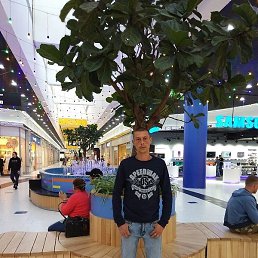 �������, ���������, 40 ���