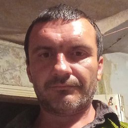 ������, �������, 40 ���