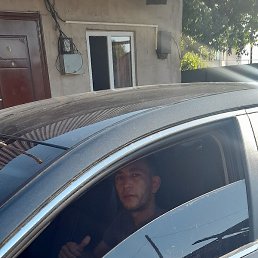 ����, ���������, 36 ���