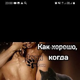 ������, ������, 41 ���