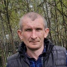 ���������, ������, 43 ����