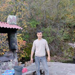 ��������, ������, 37 ���