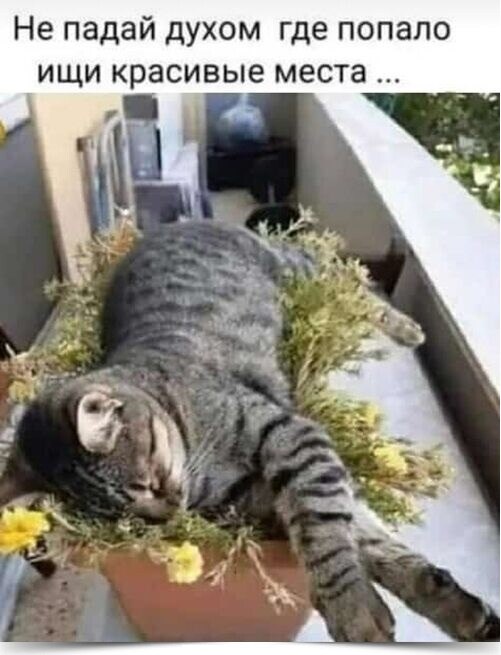 *** * *** * *** * *** * ***