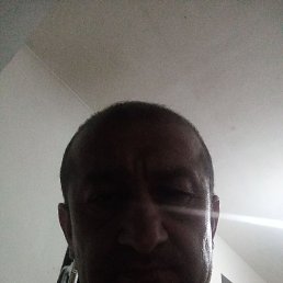 �����, ������, 49 ���