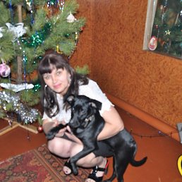 ������, ������, 55 ���