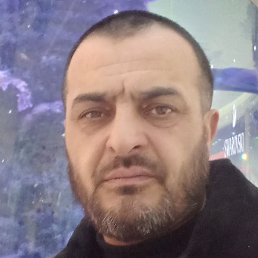 �������, �������, 46 ���