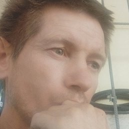  Kot, , 42  -  2  2023