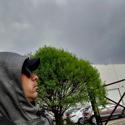 ���� ����, ��������, 41 ��� - ��������� 11 ���� 2023