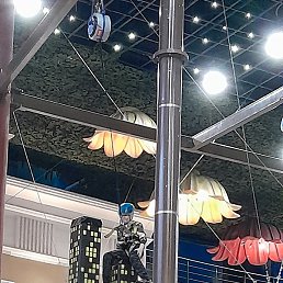 �����, ������, 38 ���