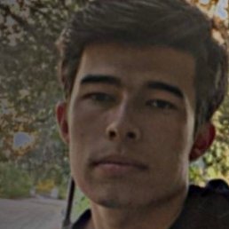 ������, �������, 24 ����