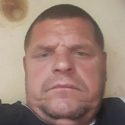 ����, ������, 46 ���