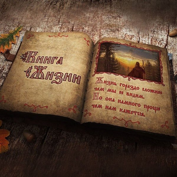 Твоя жизнь – это книга. Ты понимаешь, о чём она, но в общих чертах. И ты не знаешь, что случится на ...
