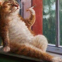 �����, �����������, 37 ���