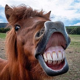 ���� �����, ������, 58 ��� - ��������� 20 ������� 2023