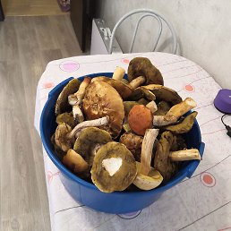 ,  , 53 