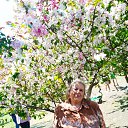  ,  -  11  2023   11.05.2023        