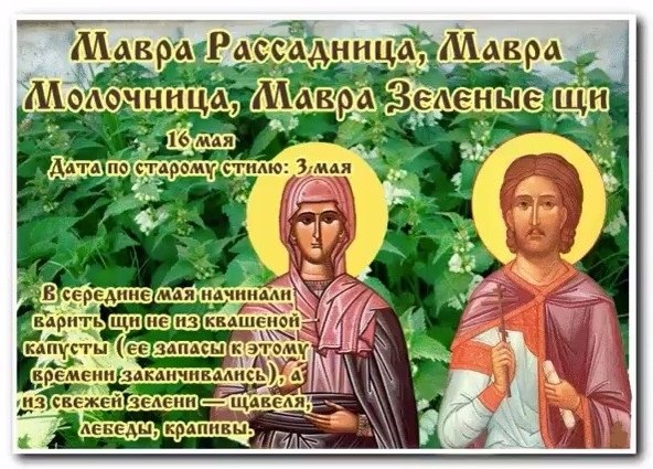 16 мая - Мавра Рассадница, Мавра Молочница, Мавра Зеленые щи.В русском народном календаре Мавра ...