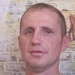 �������, �����-���������, 43 ����