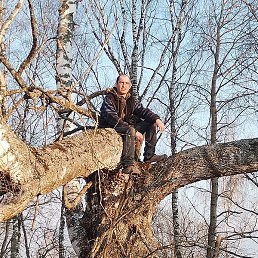 �������, ������, 34 ����